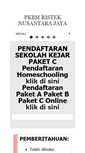 Mobile Screenshot of paketc.com